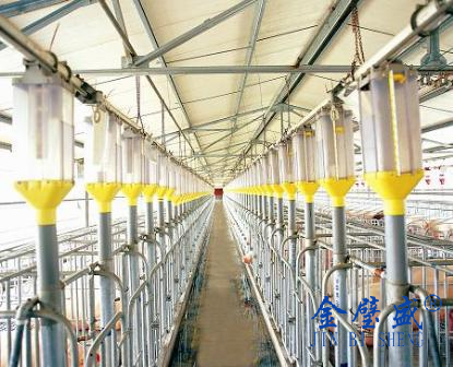 養(yǎng)豬設(shè)備11