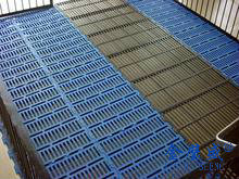 養(yǎng)豬設(shè)備14