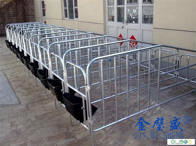 養(yǎng)豬設(shè)備15